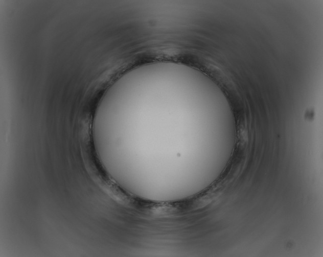 X0000092080468200710101044