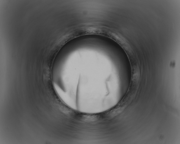 X0000092080469200710101044