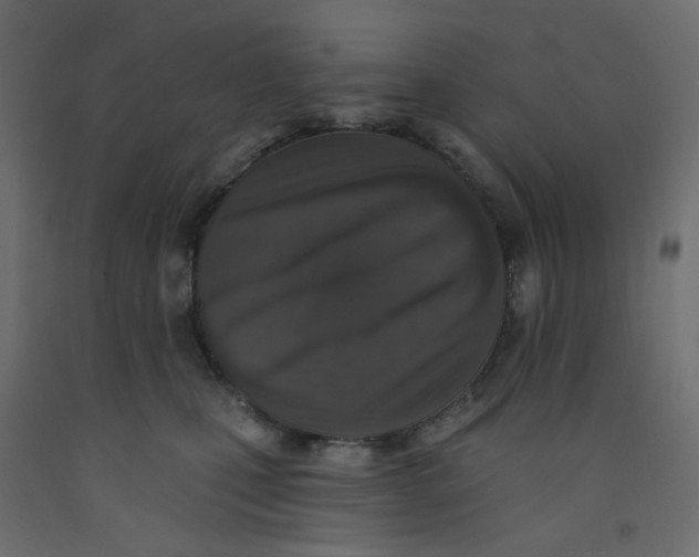 X0000092080471200710101044