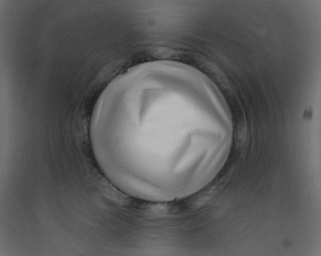 X0000092080473200710101044