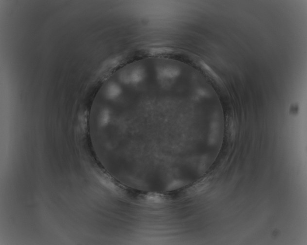 X0000092080475200710101044