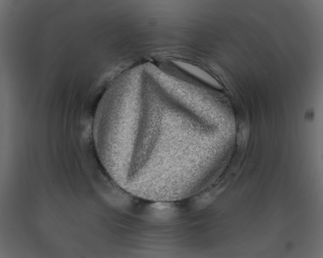 X0000092080477200710101044