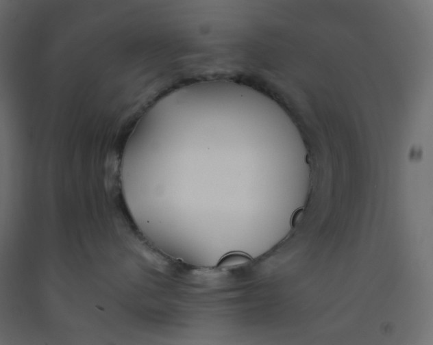 X0000092080480200710101044