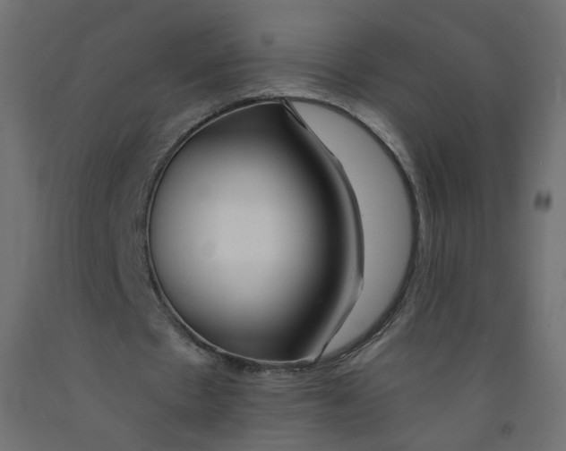 X0000092080481200710101043