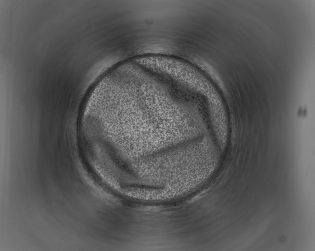 X0000092080482200710101043