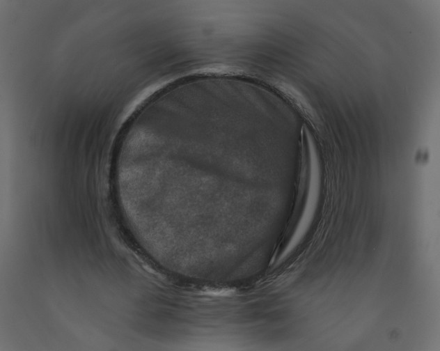 X0000092080484200710101043