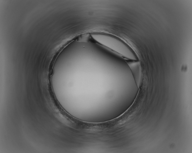 X0000092080485200710101043