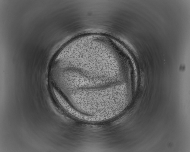 X0000092080486200710101043