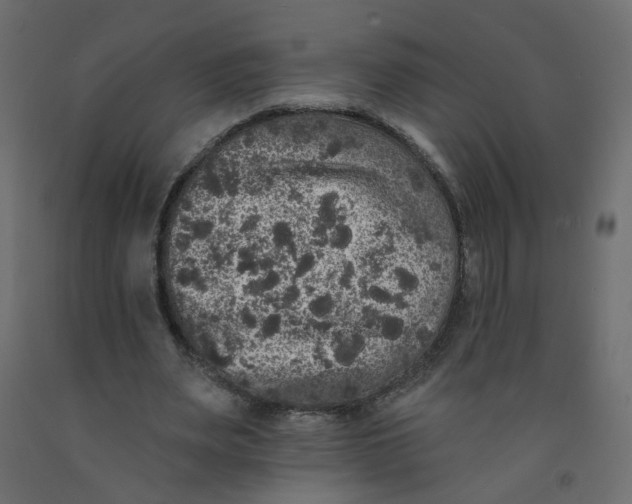 X0000092080487200710101043