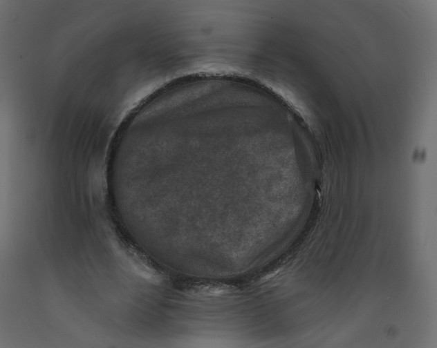 X0000092080488200710101043