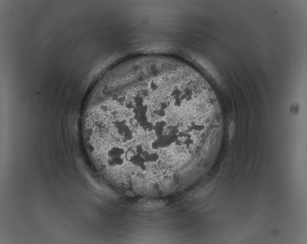 X0000092080491200710101043