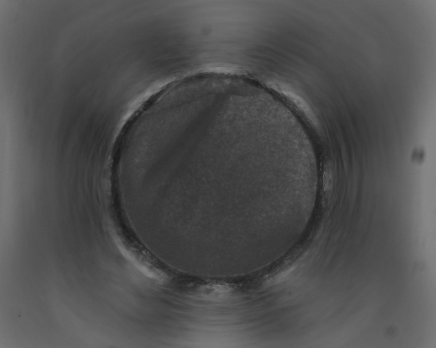 X0000092080492200710101043