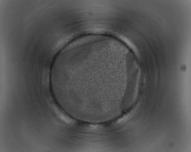 X0000092080493200710101043