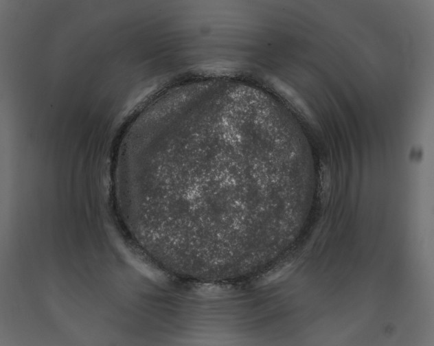 X0000092080494200710101043