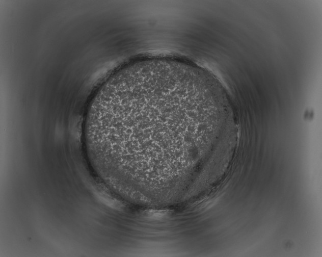 X0000092080495200710101043