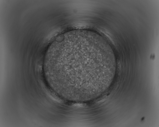 X0000092080499200710101043