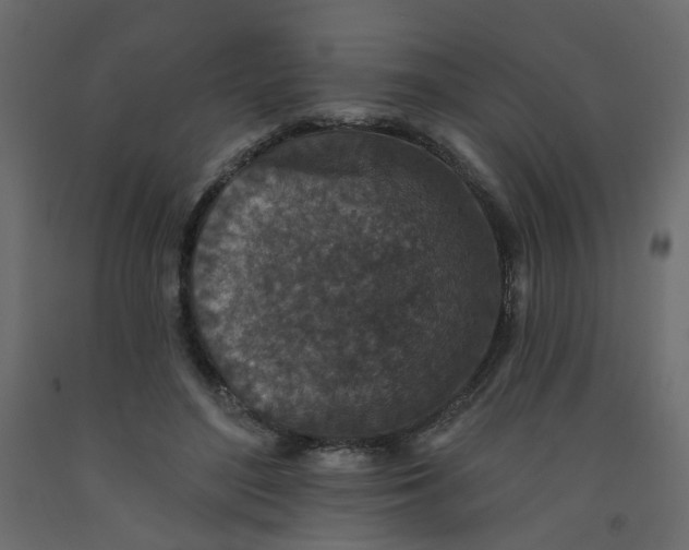 X0000092080500200710101043