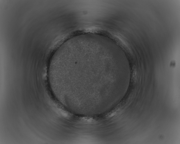 X0000092080502200710101043