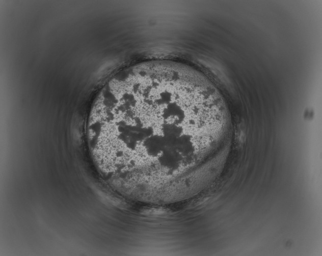 X0000092080503200710101043