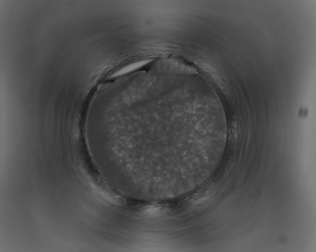 X0000092080504200710101043