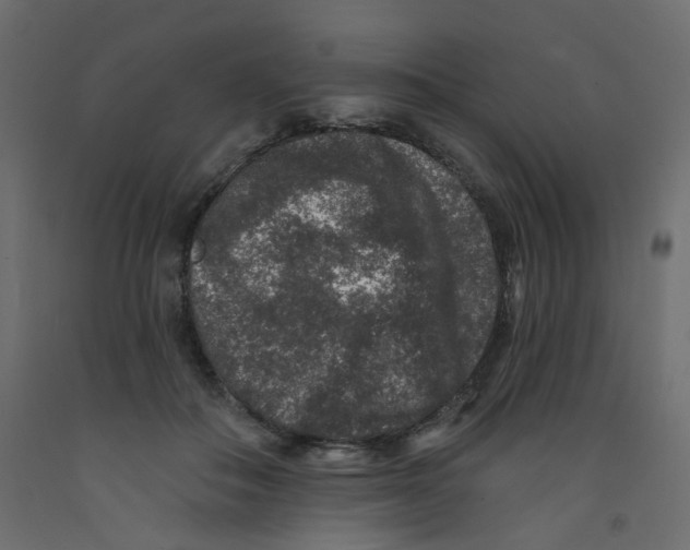 X0000092080506200710101043