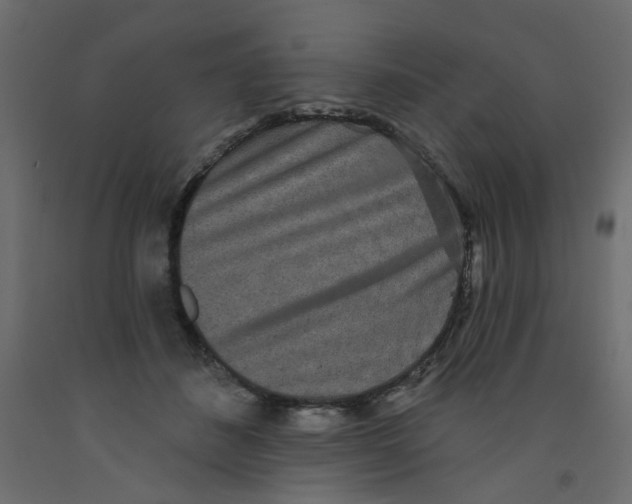 X0000092080508200710101043