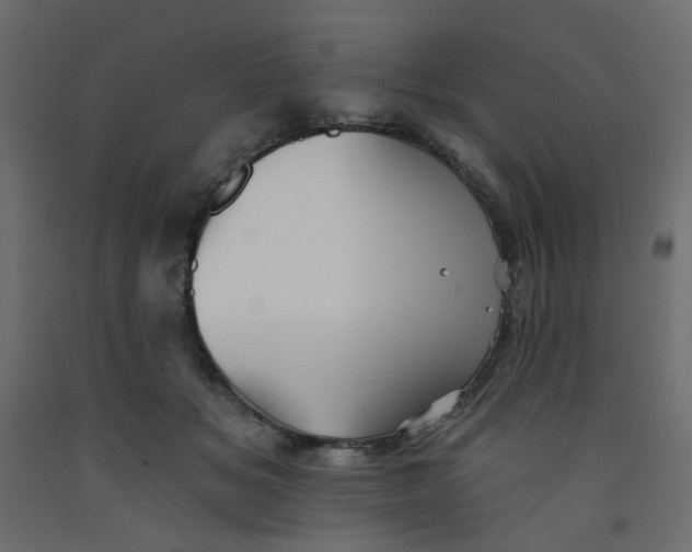 X0000092080509200710101043