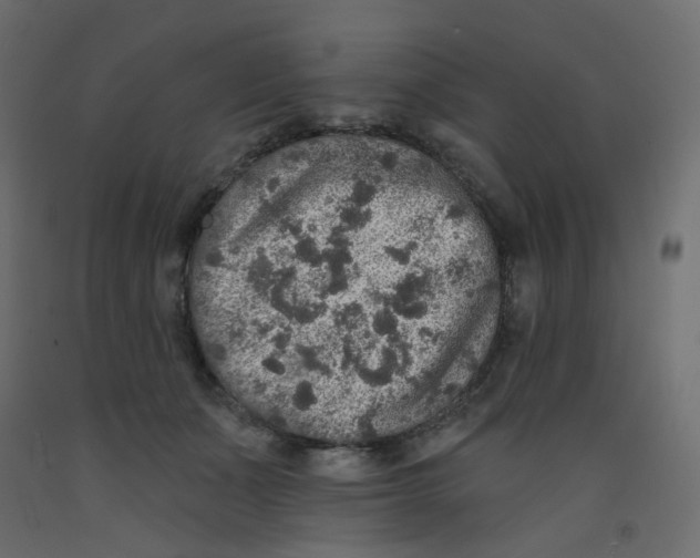 X0000092080511200710101043