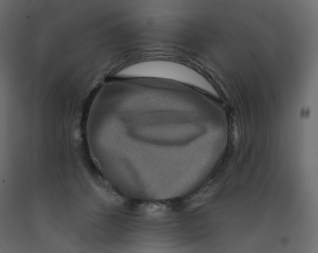 X0000092080512200710101043