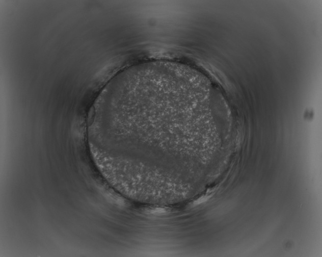 X0000092080513200710101043