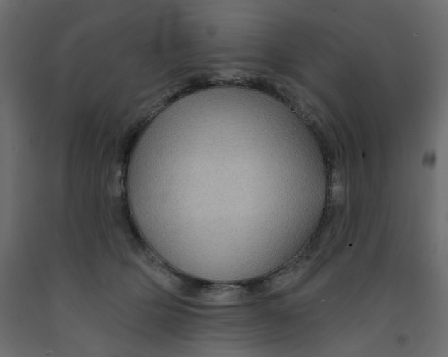 X0000092080514200710101043