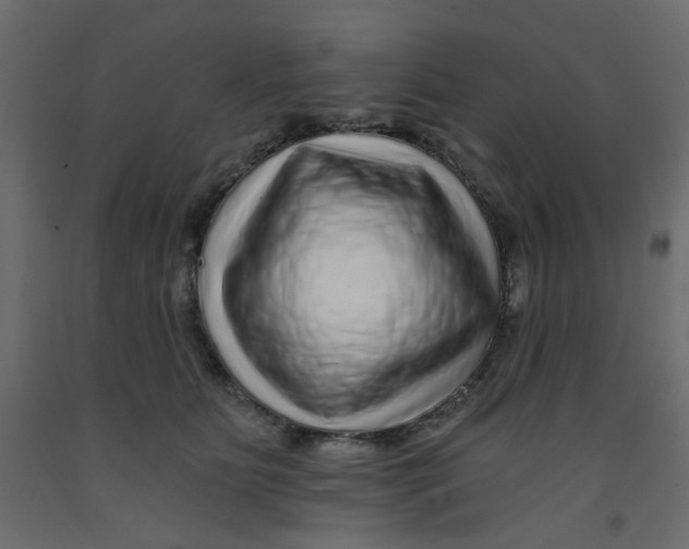 X0000092080515200710101043