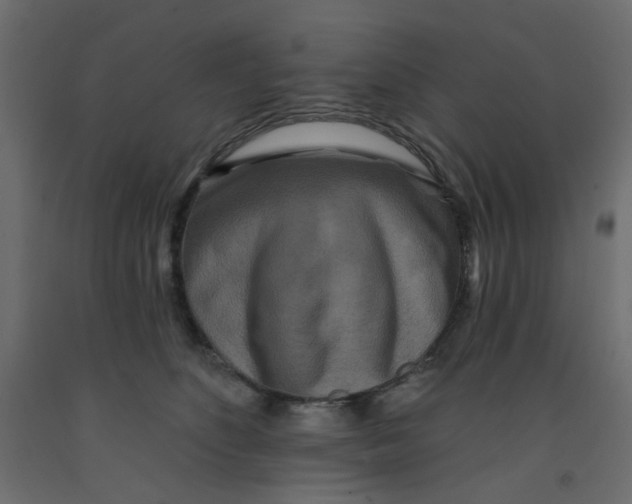 X0000092080516200710101043