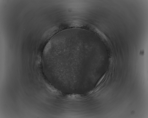 X0000092080517200710101043