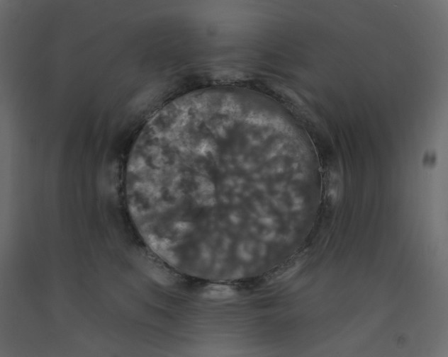 X0000092080519200710101043