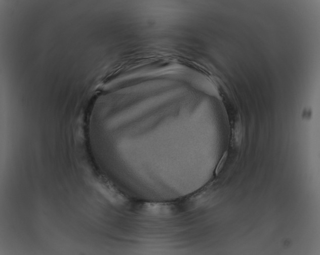 X0000092080520200710101043