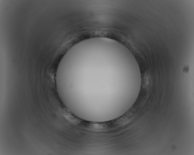 X0000092080522200710101043