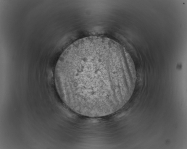 X0000092080523200710101043