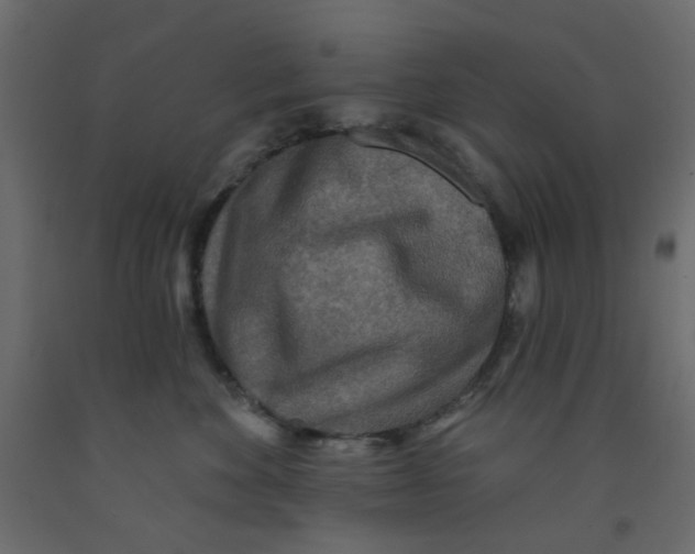 X0000092080524200710101043