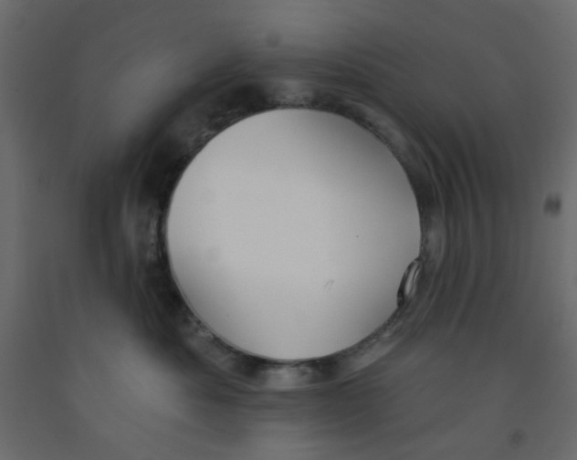 X0000092080525200710101043