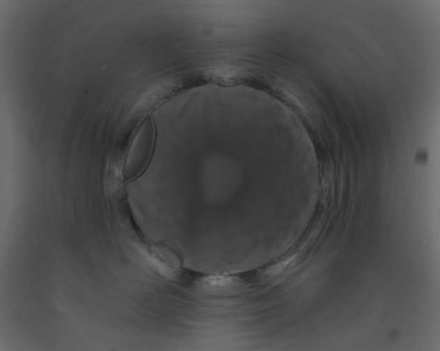 X0000092080526200710101043