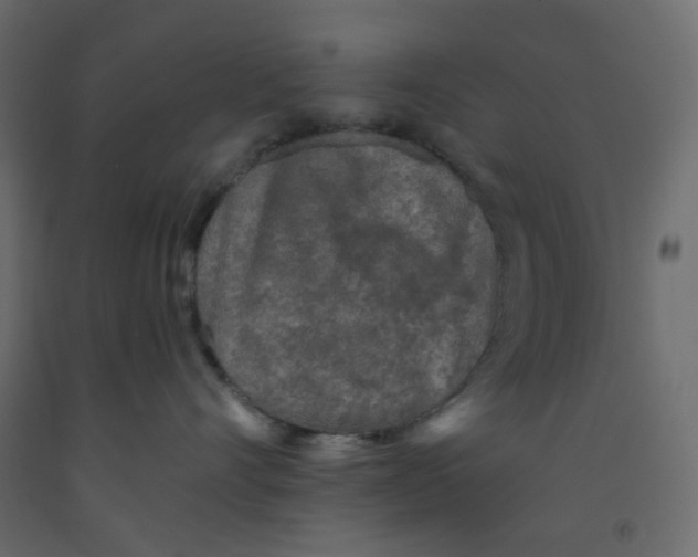 X0000092080528200710101043