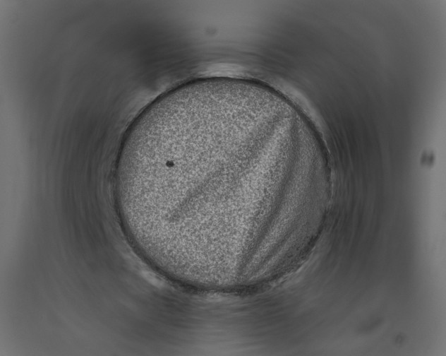 X0000092080529200710101042