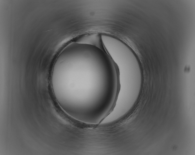 X0000092080530200710101042