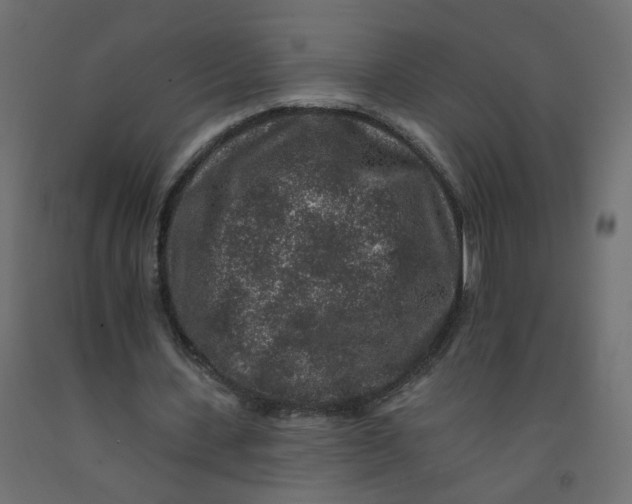 X0000092080531200710101042