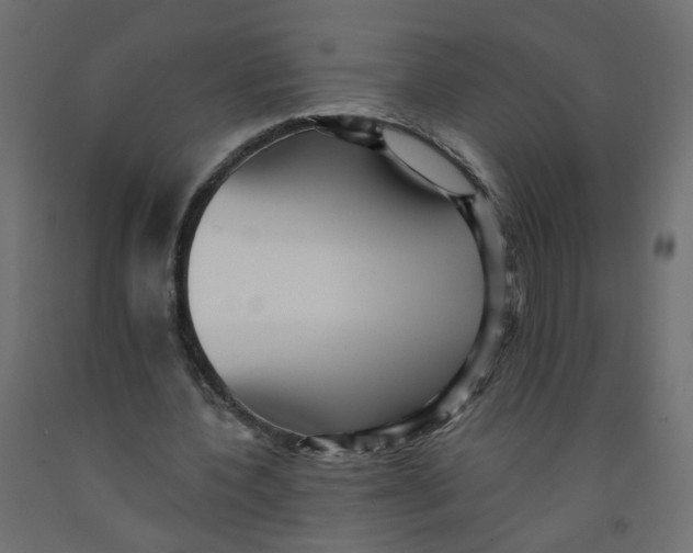 X0000092080532200710101042