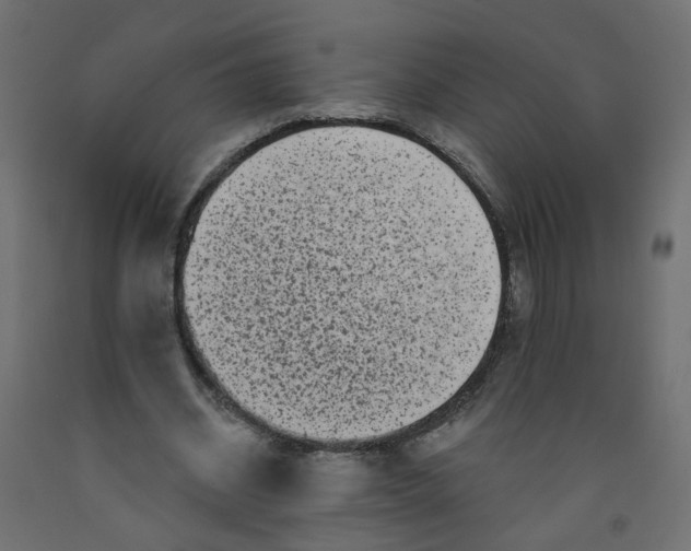 X0000092080534200710101042