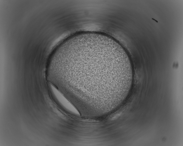 X0000092080535200710101042