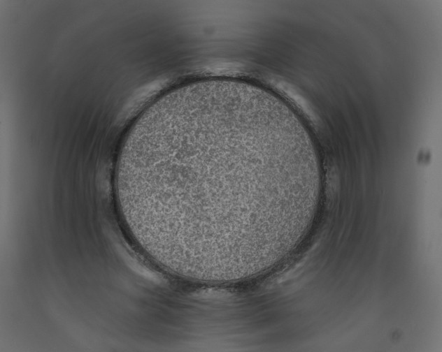 X0000092080537200710101042