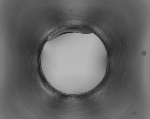 X0000092080538200710101042